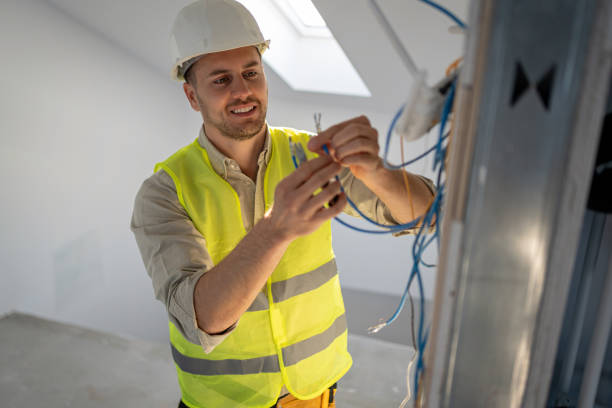 Best Electric Panel Repair  in Rock Port, MO